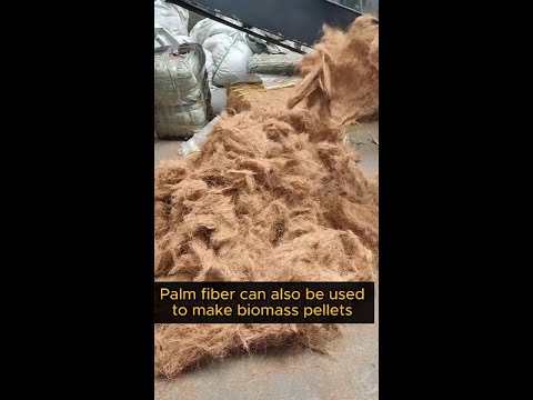 use palm fiber to make biomass pellets, good business, good profit, palm fiber pellet machine